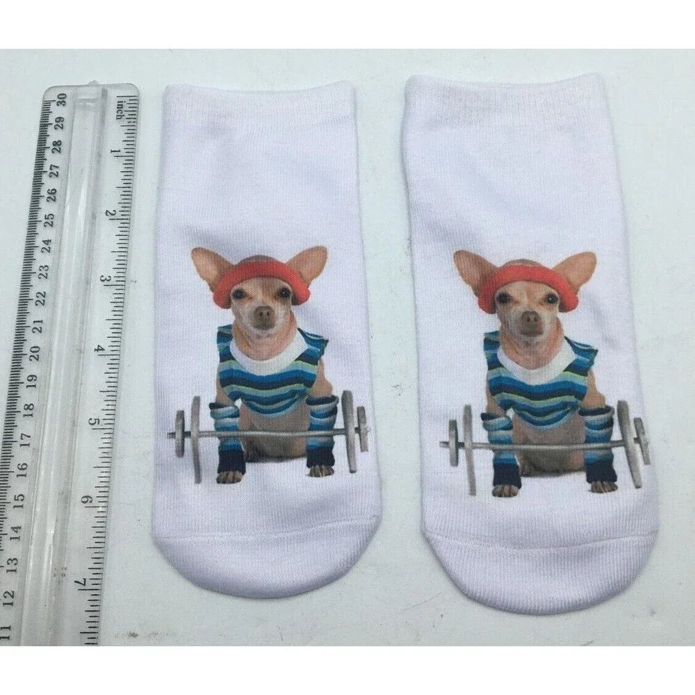 Girl Teen Socks Chihuahua Dog Weight Lifting Whimsical Read Size New Free Ship